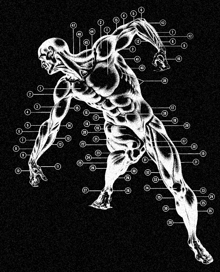 ASCII Art 19