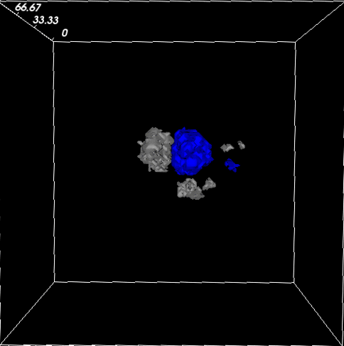 Tissue Morphogenesis